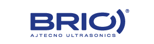 Logo_BRIO